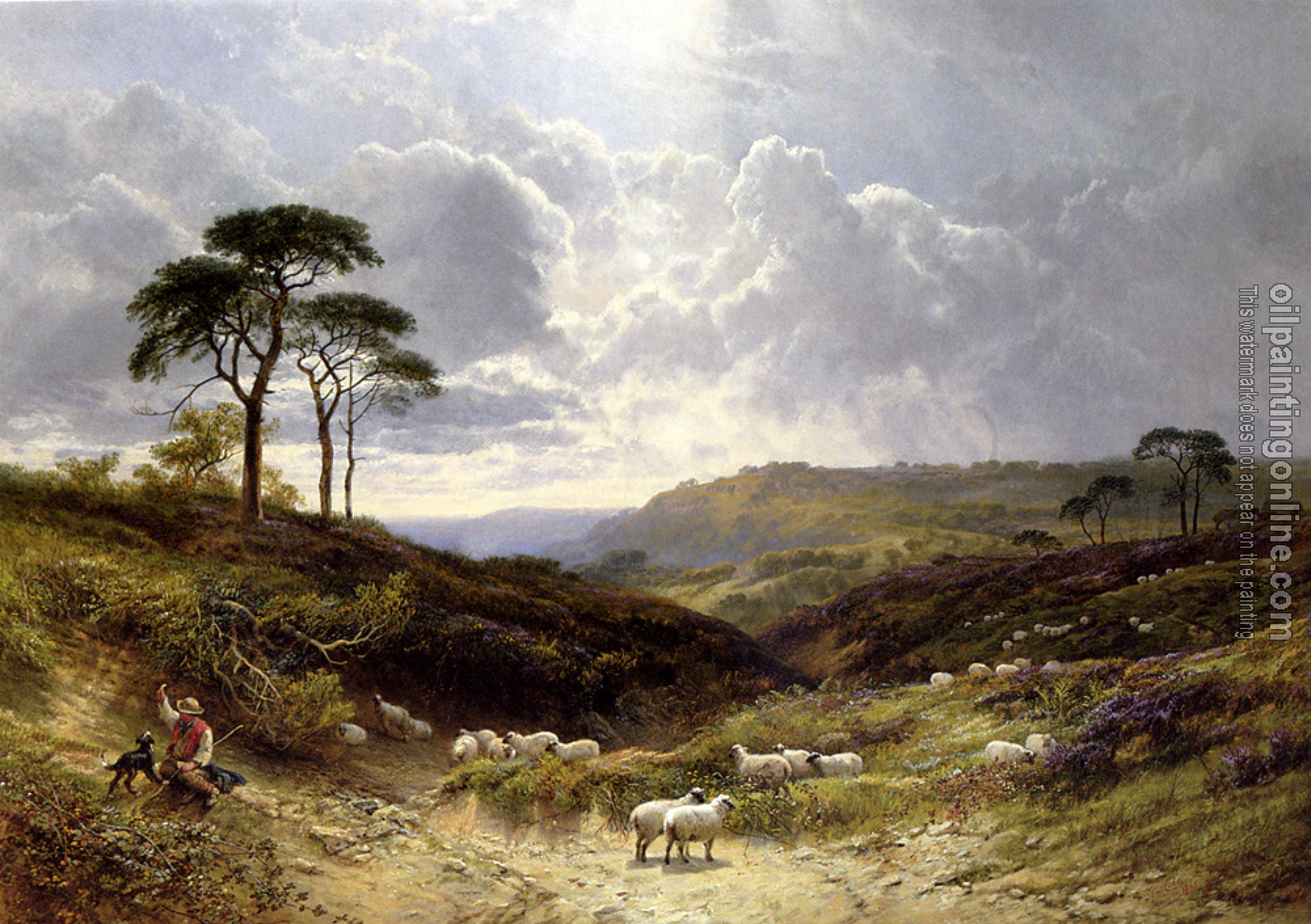 George Cole, Snr - Near Liss Hampshire